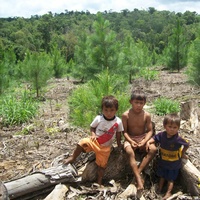 Cuando tenga la tierra