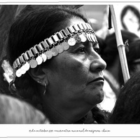 América Latina. Una mujer en pie de lucha