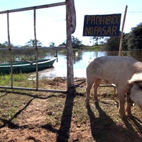 Arqueología del Paraná